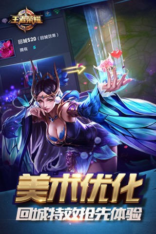 王者荣耀皮肤助手盒子