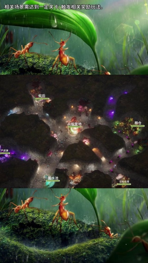 小小蚁世界 小小蚁世界