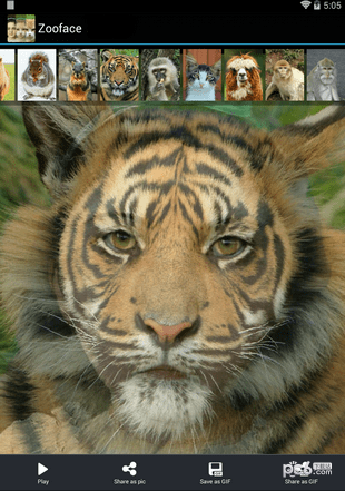 Zooface下载