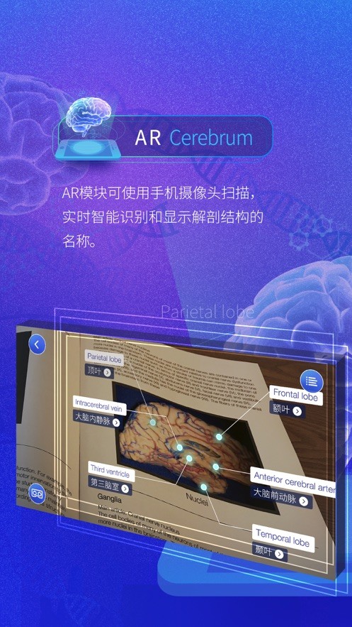 脑外科XR