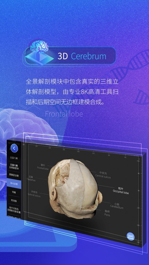 脑外科XR