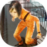 监狱突击队格斗 v0.1