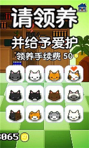 我家猫咪很任性IOS