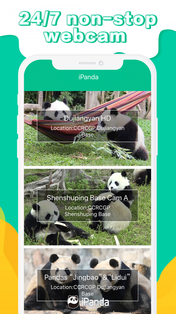 iPanda