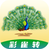 彩雀转 v1.0.4