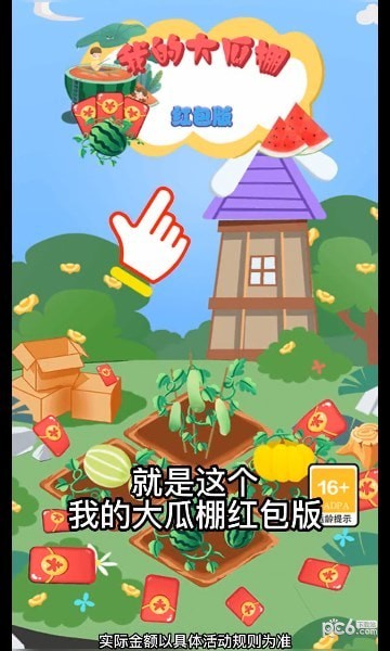 我的大瓜棚