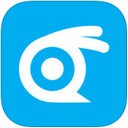 窝客app