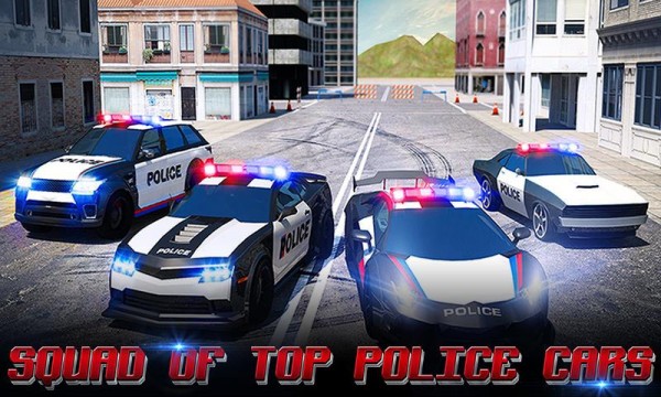 警察追捕3D