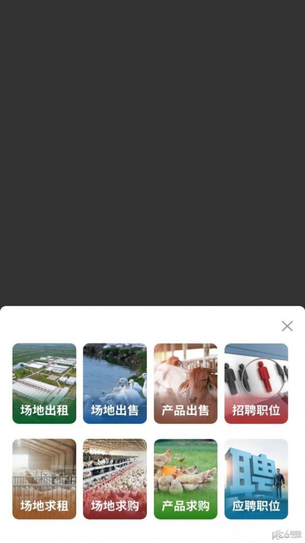 畜牧云端