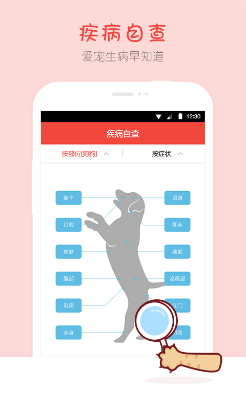 宠物疾病百科 宠物疾病百科
