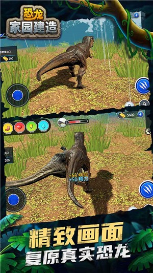 恐龙家园建造
