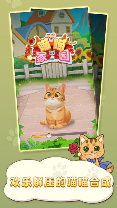 喵喵家园 喵喵家园