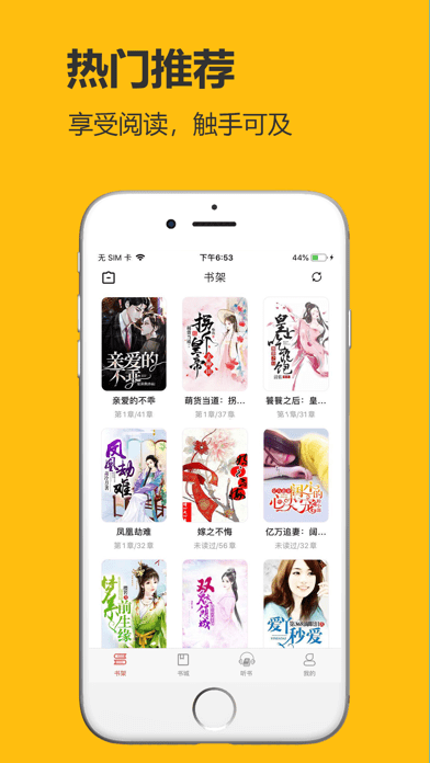 飞雨小说iOS版