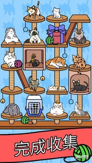 猫咪公寓中文版下载