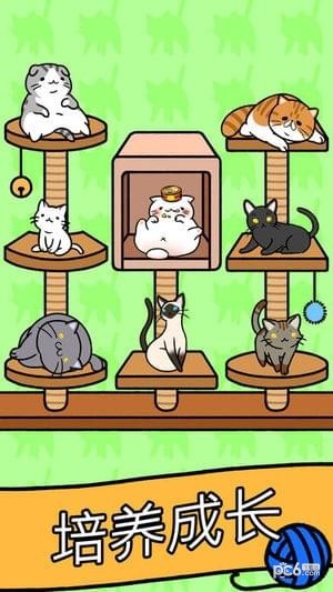 猫咪公寓中文版下载