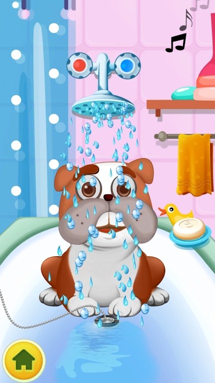 小小动物牙医 小小动物牙医