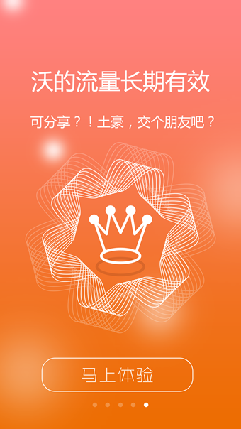 联通v网