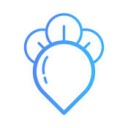 菜头金服app