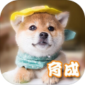 小狗开车模拟器 v1.0