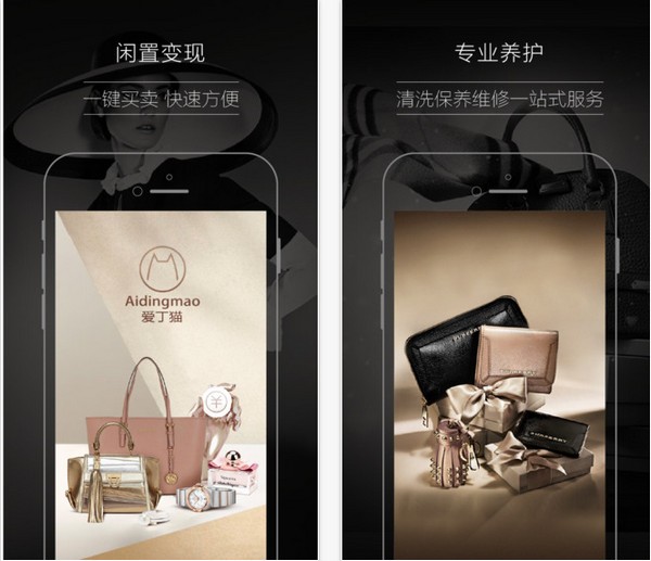 爱丁猫app下载