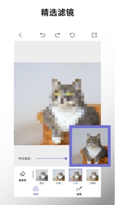 特效马赛克 特效马赛克