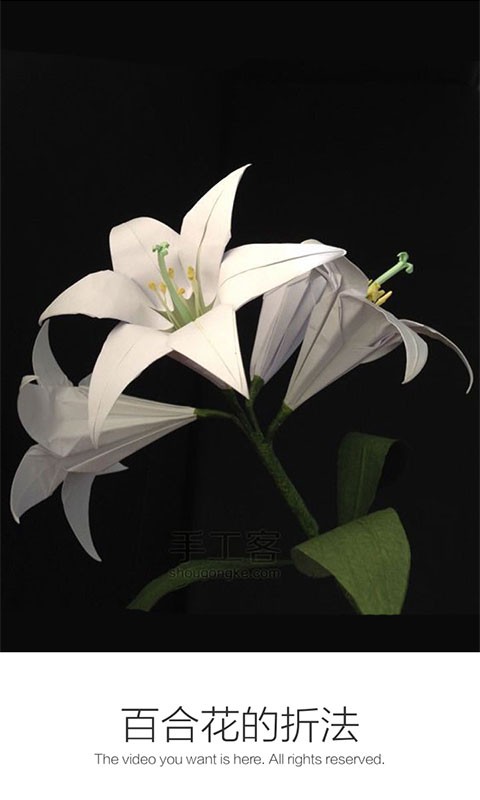百合花的折法