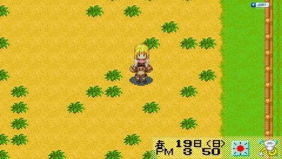 牧场物语矿石镇的朋友 牧场物语矿石镇的朋友