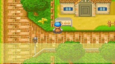 牧场物语矿石镇的朋友 牧场物语矿石镇的朋友