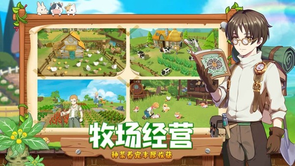 休闲的牧场