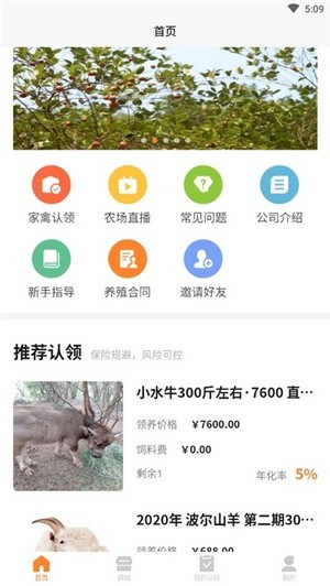 绿品牧场