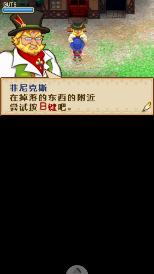 牧场物语之风之集市