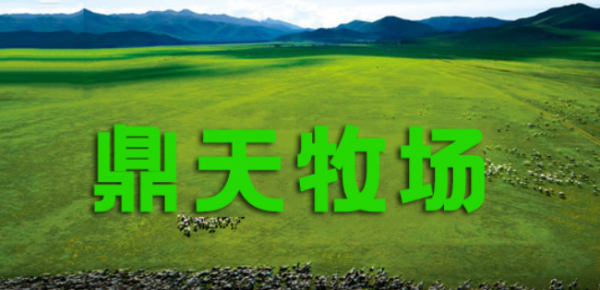 鼎天牧场