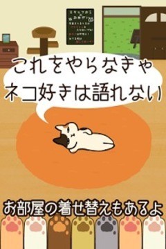 猫咪咖啡厅2