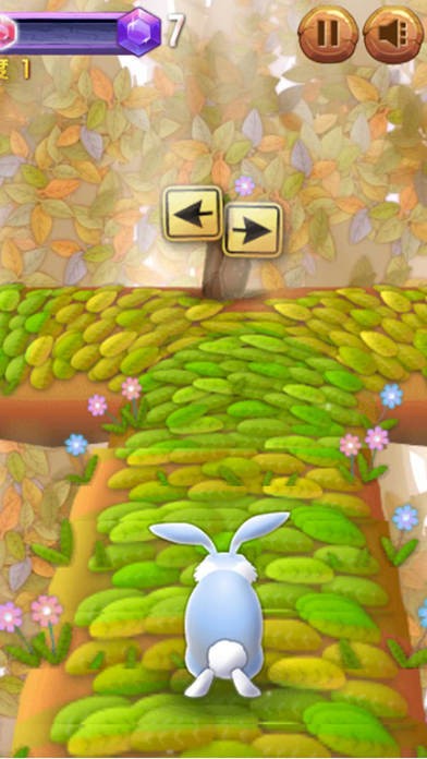 3D兔兔快跑ios版