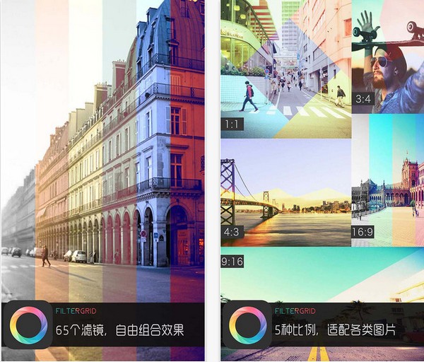 FilterGrid下载