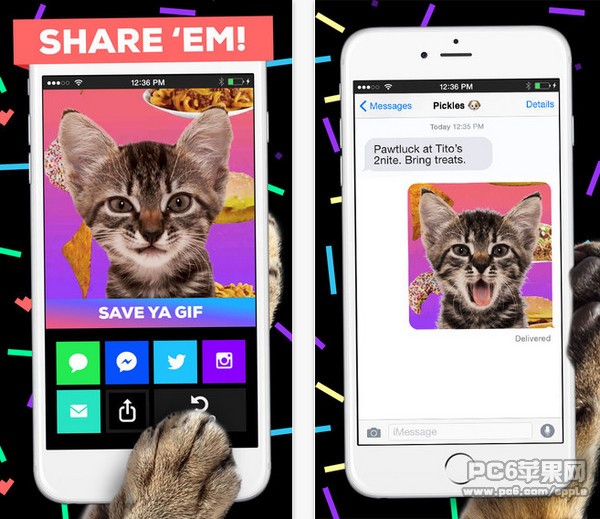 giphy cam app