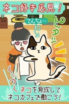 猫咪咖啡厅2