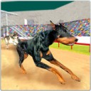 K9赛狗赛狗冲刺