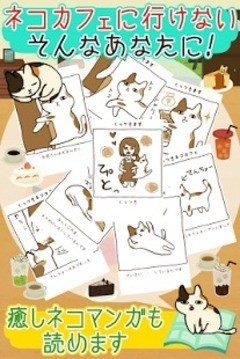 猫咪咖啡厅2