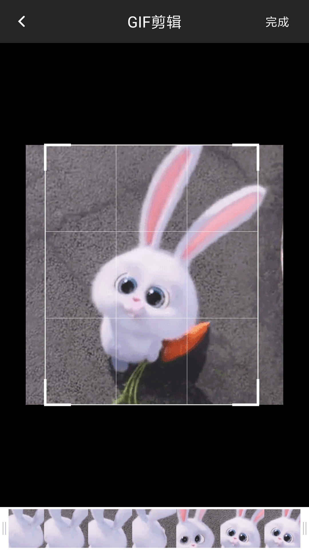 GIF制作器 GIF制作器