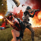 枪火兵工厂 v1.1