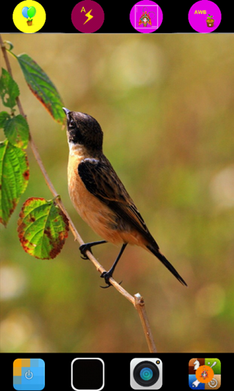 土豪相机 土豪相机