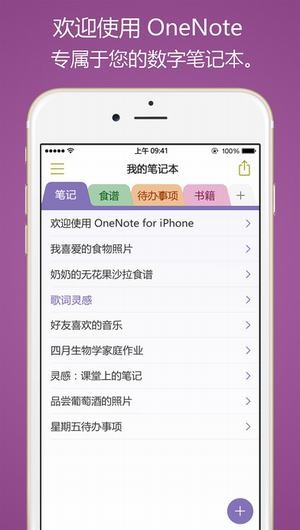 Microsoft OneNote 2017