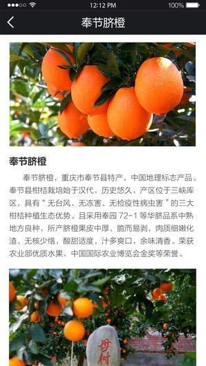 白帝城景区app