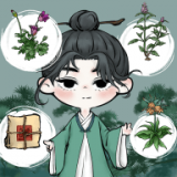 江湖中药铺子 v202206061