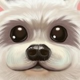 宠物理发师 v0.1