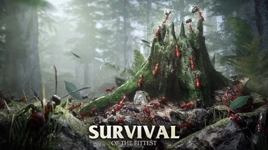 蚂蚁军团为了虫群 蚂蚁军团为了虫群