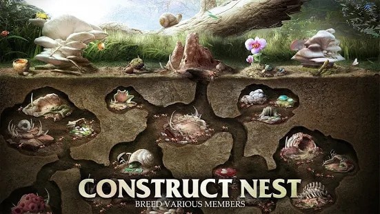 蚂蚁军团为了虫群 蚂蚁军团为了虫群