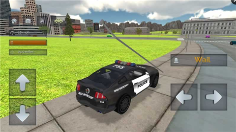 城市警车追逐 城市警车追逐