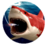 深海鲨鱼大对决